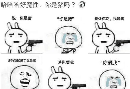 陈赫酒量有多好自曝只被一个女生喝趴,后来她还成他火锅店老板