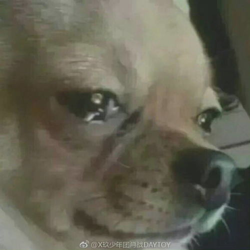 肖战不小心看到蜘蛛侠剧透,发了个绿洲