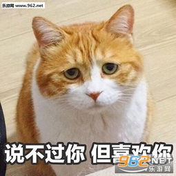 交个朋友谈个恋爱表情包图片按住躁动的你表情包图片下载乐游网游戏下载