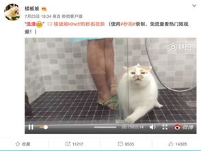 别看有的人表面风风光光,其实私底下连一只猫都没有