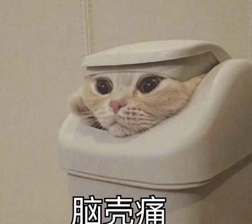 已经被查封的密室偷偷营业拘留