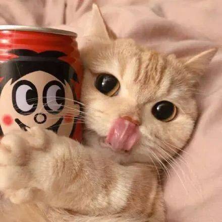 头像最近猪肉涨价难怪你说话都硬气了许多
