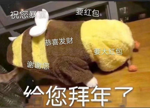 妈妈,我的压岁钱去哪里了