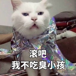 你连表情包里猫的名字都不知道,还敢说爱猫