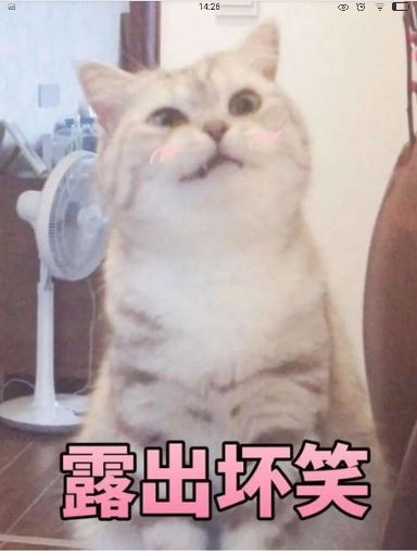 ............没啥