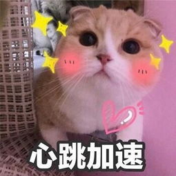 于朦胧鞠婧祎新白娘子传奇再续前缘这回终于圆满了