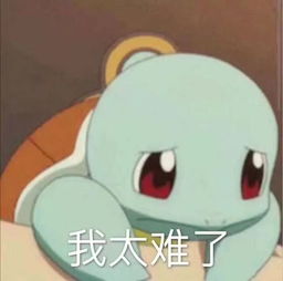 爱你衣024,成了炉石圈最美的情话