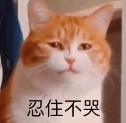 发表情表情包大全微信表情包qq表情包fabiaoqing.com