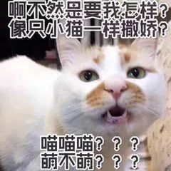 之杜默雨灵灵正传