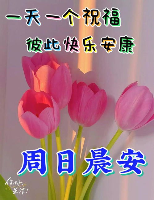 2023年8月20日周日早上好,精选周末早安祝福语创意表情包图片带字带问候语
