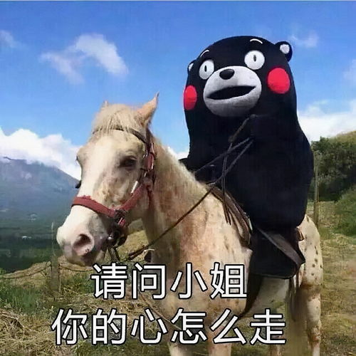 亚瑟斗图表情包我的马