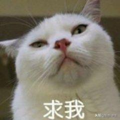你和你的朋友在游戏里都说过哪些谎还是以下全说过