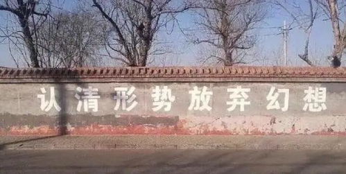 考研卷不过,表情包可不能输