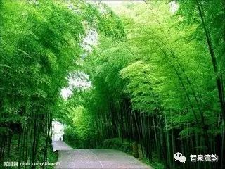 永远跟党走表情包原创蜀南竹海