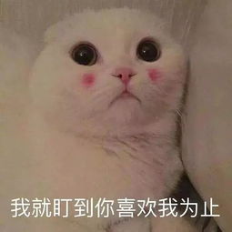 表情包多的同学,人缘总不会太差太准了