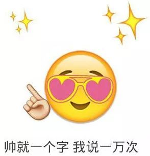 丑鸭子表情包小可爱