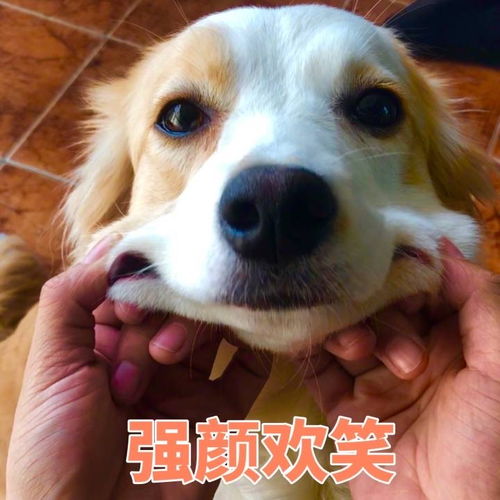吸渣体质怎么破