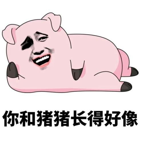 爱5猪猪公寓表情包下载爱5猪猪公寓表情包分享最新下载站