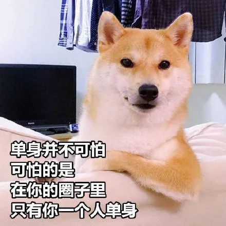 你单身的原因光棍节表情包
