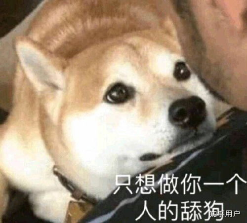 如何看待抖音上你的晚晚