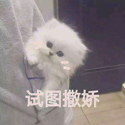 纳尼表情包图片撒娇
