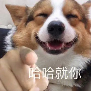 表情包你完蛋了,被指到的人替我上班