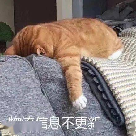 ynuer,今天你理性消费了吗
