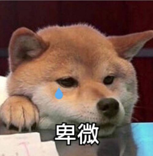我的收藏夹