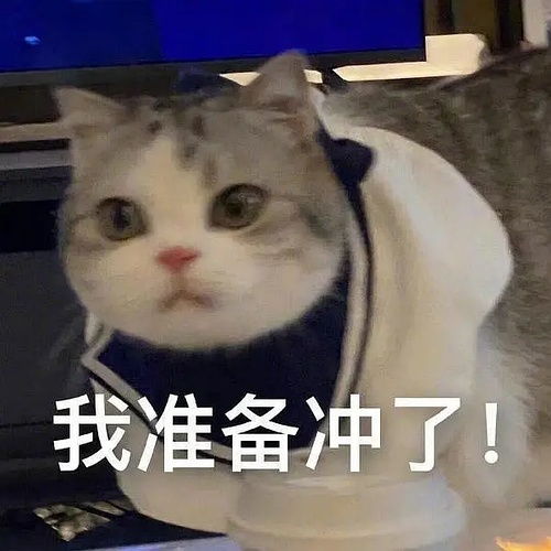 被妈妈追着打的表情包