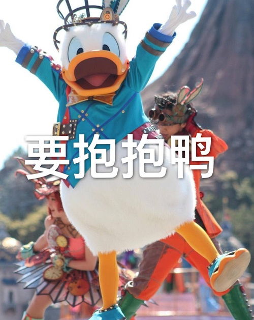 我的收藏