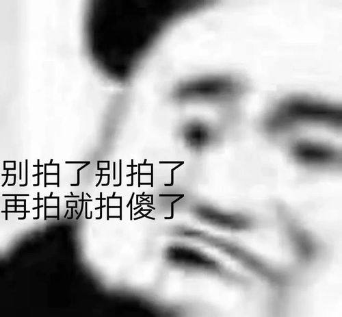 微信新功能一出来就被网友用来ghs,这届网友真的太优秀了