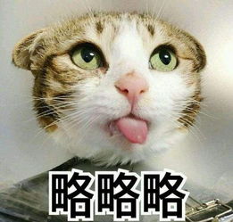 伊犁地区最新天气预报大风大雨今晚就来,一直要下到