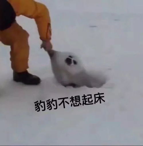 表情包你口臭哦