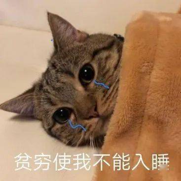 聊天斗图表情包悲伤那么大