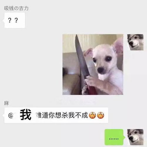 和爸妈聊天千万别发表情包你猜不到他们会理解成什么
