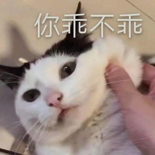 表情包baby,你还回家吗