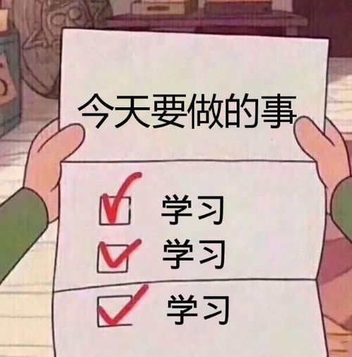 教师招聘教育心理学4