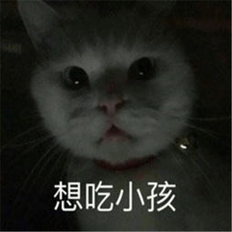 表情包你们又在谈论我的帅气,想吃小嗨