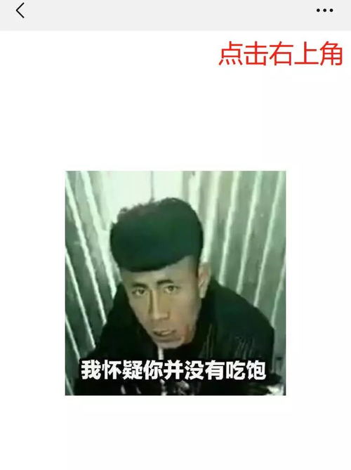 新鲜事微信更新啦,斗图者的狂欢