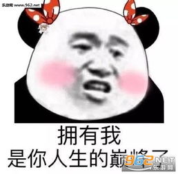 见什么世面见见你就好啦套路表情包图片拥有我是你人生的巅峰了表情包下载乐游网游戏下载