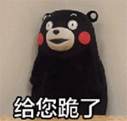 跪地磕头表情包gif