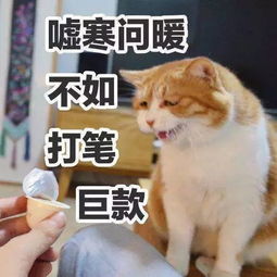 30岁未婚恭喜你,你已经击败全国85的同龄人