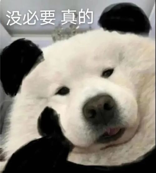 奇奇怪怪的沙雕表情包