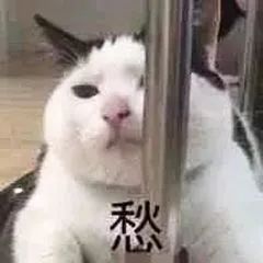 金山这条道路正在施工预计11月前基本完成
